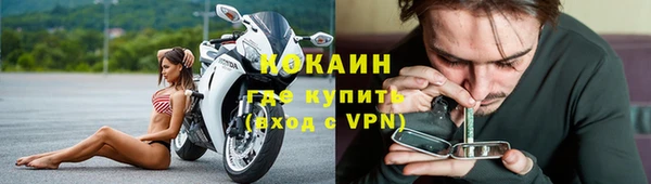 дурь Богородицк