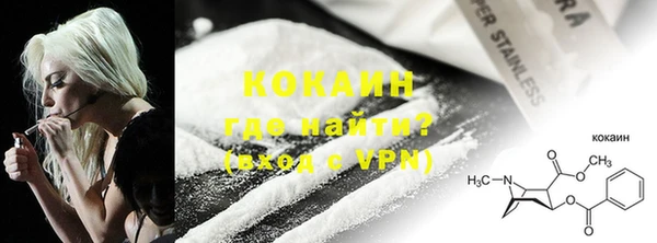 ешки Богданович