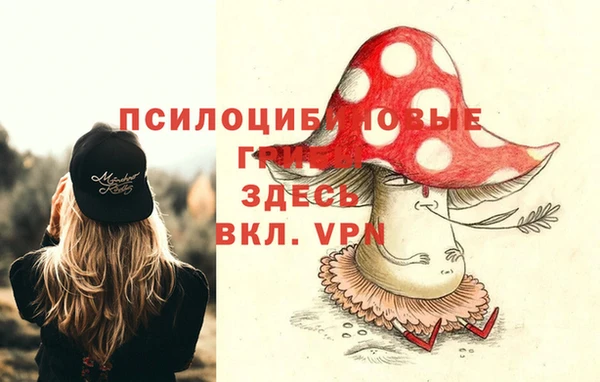 гашиш Богородск
