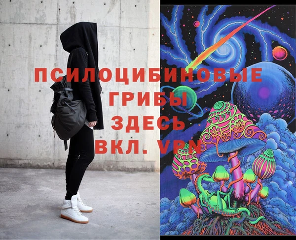 ешки Богданович
