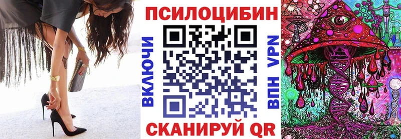 Псилоцибиновые грибы Cubensis  где найти наркотики  Красный Сулин 